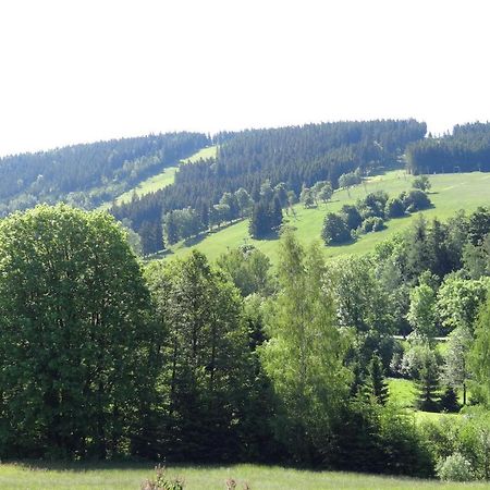 Apartman Karovi Destne v Orlickych horach Extérieur photo